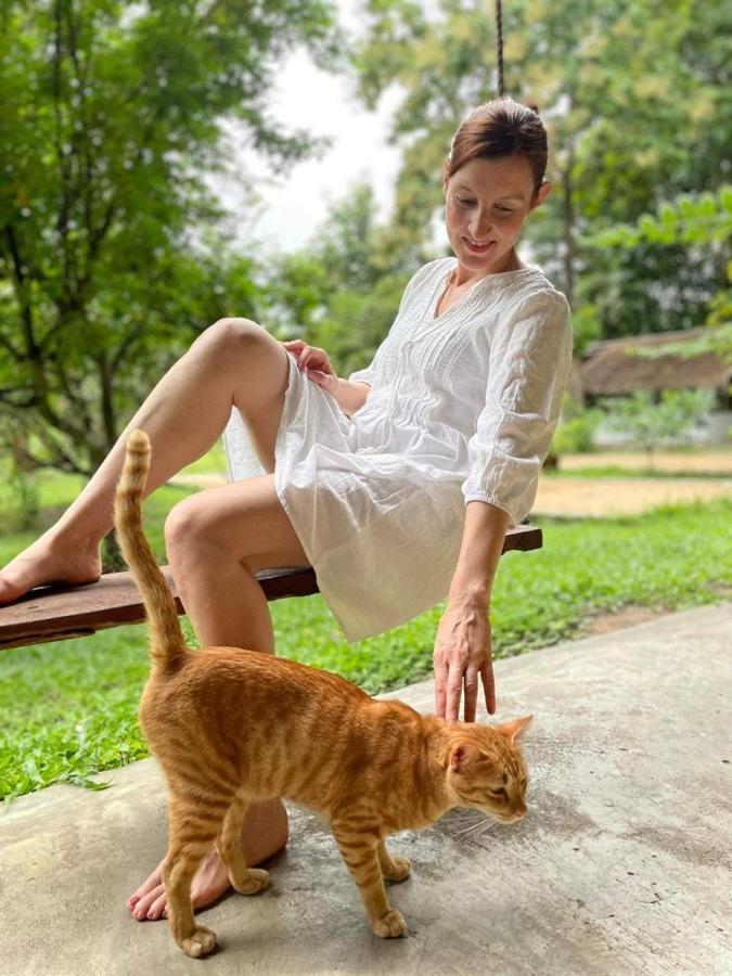 La Maison - Chiangmai Mae Taeng Esterno foto