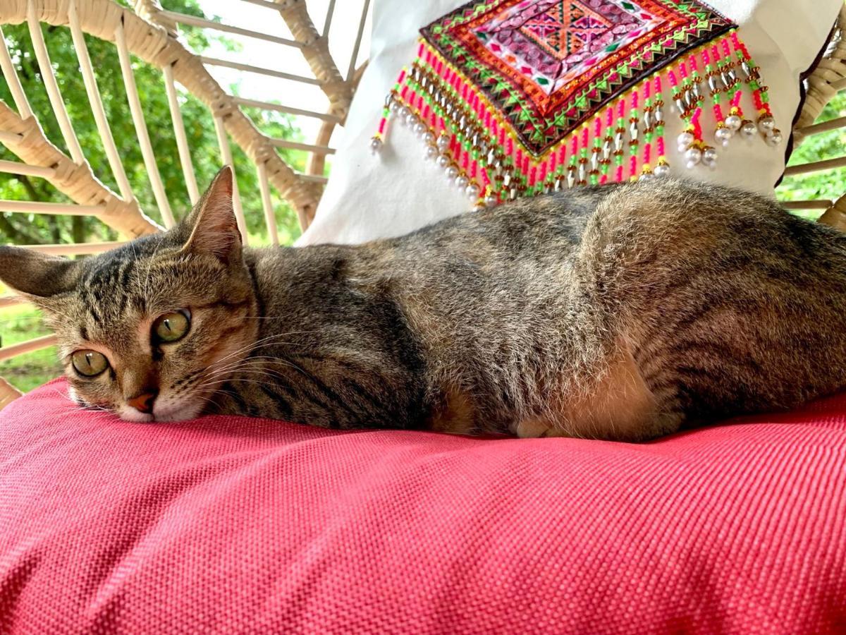 La Maison - Chiangmai Mae Taeng Esterno foto