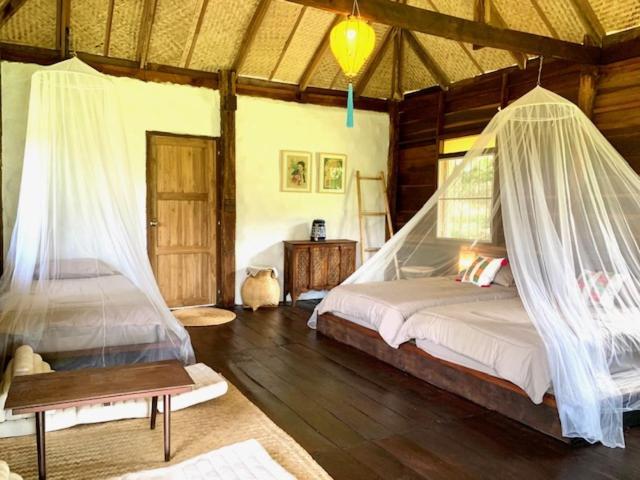 La Maison - Chiangmai Mae Taeng Esterno foto
